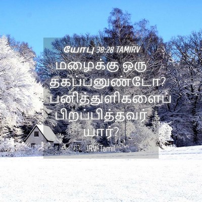 Picture 04 - யோபு 38:28 TAMIRV - மழைக்கு ஒரு - Bible Verse Picture