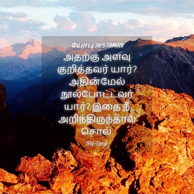 Picture 04 - யோபு 38:5 TAMIRV - அதற்கு அளவு - Bible Verse Picture