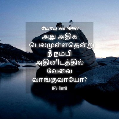 Picture 04 - யோபு 39:11 TAMIRV - அது அதிக - Bible Verse Picture