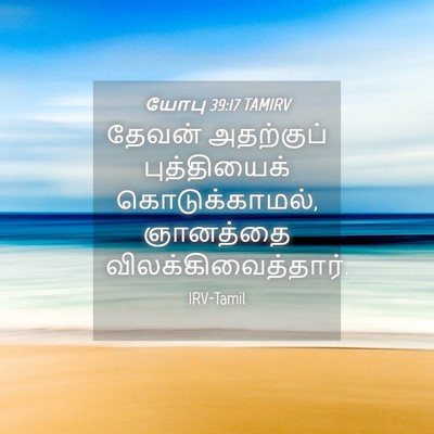 Picture 04 - யோபு 39:17 TAMIRV - தேவன் அதற்குப் - Bible Verse Picture