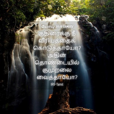 Picture 04 - யோபு 39:19 TAMIRV - குதிரைக்கு நீ - Bible Verse Picture