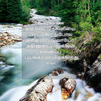 Picture 04 - யோபு 39:20 TAMIRV - ஒரு - Bible Verse Picture