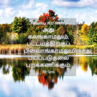 Picture 04 - யோபு 39:22 TAMIRV - அது கலங்காமலும், - Bible Verse Picture