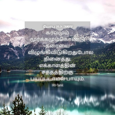 Picture 04 - யோபு 39:24 TAMIRV - கர்வமும் - Bible Verse Picture