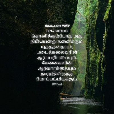 Picture 04 - யோபு 39:25 TAMIRV - எக்காளம் - Bible Verse Picture