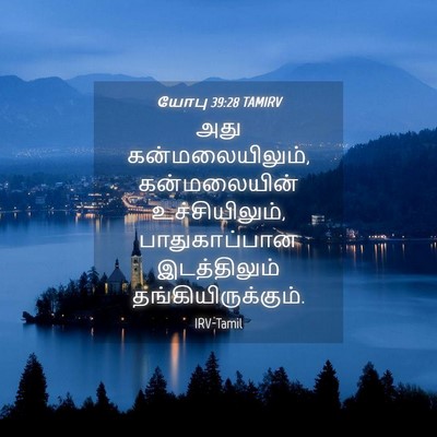 Picture 04 - யோபு 39:28 TAMIRV - அது கன்மலையிலும், - Bible Verse Picture