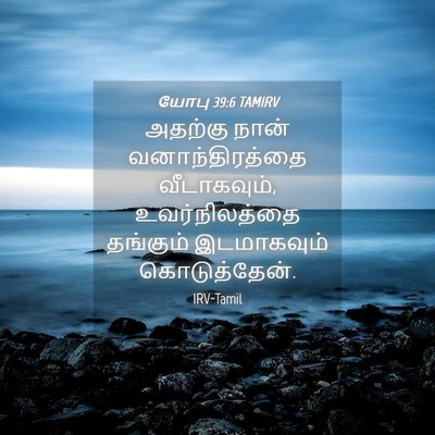 Picture 04 - யோபு 39:6 TAMIRV - அதற்கு நான் - Bible Verse Picture