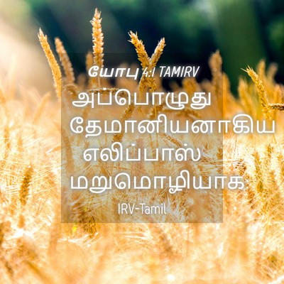 Picture 04 - யோபு 4:1 TAMIRV - அப்பொழுது - Bible Verse Picture