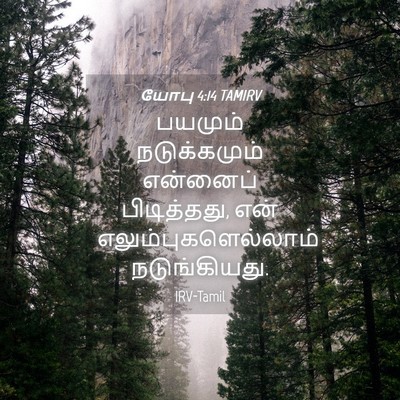 Picture 04 - யோபு 4:14 TAMIRV - பயமும் நடுக்கமும் - Bible Verse Picture