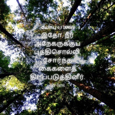 Picture 04 - யோபு 4:3 TAMIRV - இதோ, நீர் - Bible Verse Picture