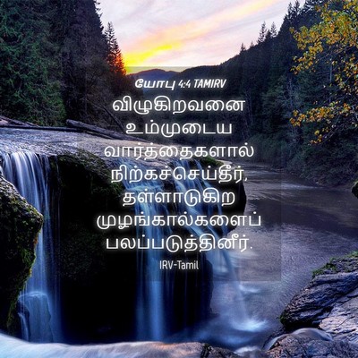 Picture 04 - யோபு 4:4 TAMIRV - விழுகிறவனை - Bible Verse Picture