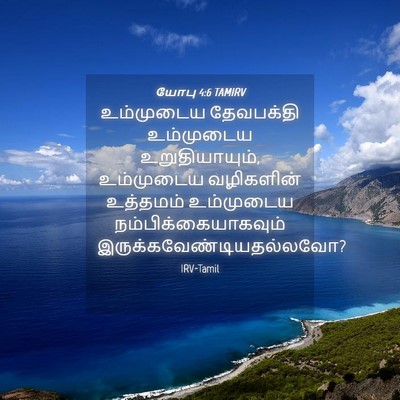 Picture 04 - யோபு 4:6 TAMIRV - உம்முடைய தேவபக்தி - Bible Verse Picture