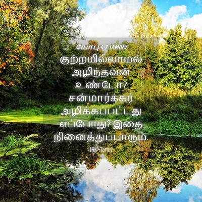 Picture 04 - யோபு 4:7 TAMIRV - குற்றமில்லாமல் - Bible Verse Picture