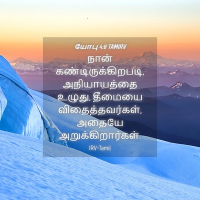 Picture 04 - யோபு 4:8 TAMIRV - நான் - Bible Verse Picture