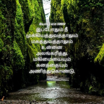 Picture 04 - யோபு 40:10 TAMIRV - இப்போதும் நீ - Bible Verse Picture
