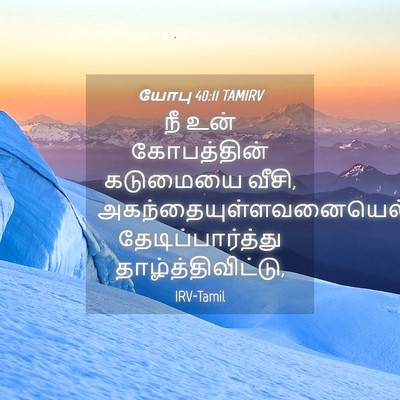 Picture 04 - யோபு 40:11 TAMIRV - நீ உன் கோபத்தின் - Bible Verse Picture