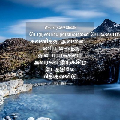 Picture 04 - யோபு 40:12 TAMIRV -  - Bible Verse Picture