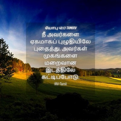 Picture 04 - யோபு 40:13 TAMIRV - நீ அவர்களை - Bible Verse Picture