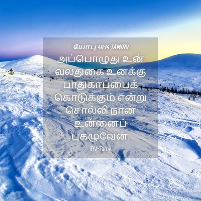 Picture 04 - யோபு 40:14 TAMIRV - அப்பொழுது உன் - Bible Verse Picture