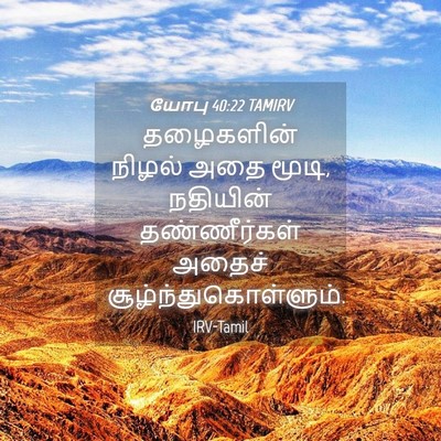 Picture 04 - யோபு 40:22 TAMIRV - தழைகளின் நிழல் - Bible Verse Picture