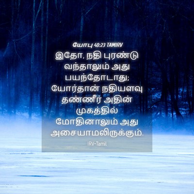 Picture 04 - யோபு 40:23 TAMIRV - இதோ, நதி புரண்டு - Bible Verse Picture