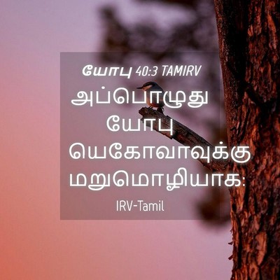 Picture 04 - யோபு 40:3 TAMIRV - அப்பொழுது யோபு - Bible Verse Picture