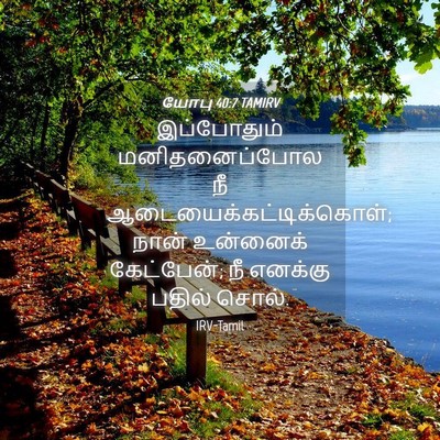 Picture 04 - யோபு 40:7 TAMIRV - இப்போதும் - Bible Verse Picture