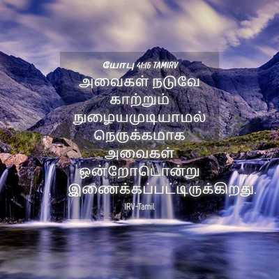 Picture 04 - யோபு 41:16 TAMIRV - அவைகள் நடுவே - Bible Verse Picture