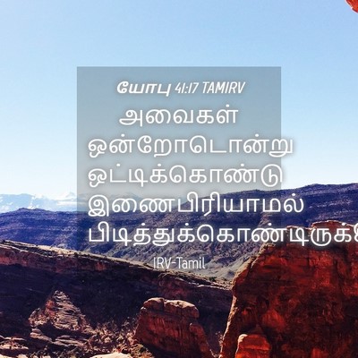 Picture 04 - யோபு 41:17 TAMIRV - அவைகள் - Bible Verse Picture