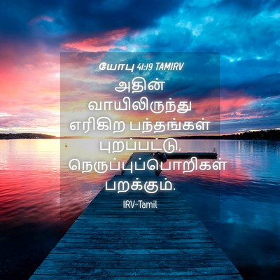 Picture 04 - யோபு 41:19 TAMIRV - அதின் - Bible Verse Picture