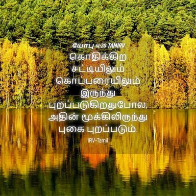 Picture 04 - யோபு 41:20 TAMIRV - கொதிக்கிற - Bible Verse Picture