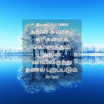 Picture 04 - யோபு 41:21 TAMIRV - அதின் சுவாசம் - Bible Verse Picture