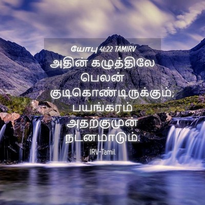 Picture 04 - யோபு 41:22 TAMIRV - அதின் கழுத்திலே - Bible Verse Picture