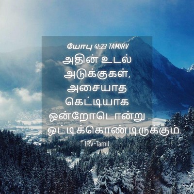 Picture 04 - யோபு 41:23 TAMIRV - அதின் உடல் - Bible Verse Picture
