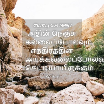 Picture 04 - யோபு 41:24 TAMIRV - அதின் நெஞ்சு - Bible Verse Picture
