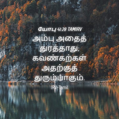 Picture 04 - யோபு 41:28 TAMIRV - அம்பு அதைத் - Bible Verse Picture