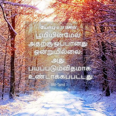Picture 04 - யோபு 41:33 TAMIRV - பூமியின்மேல் - Bible Verse Picture