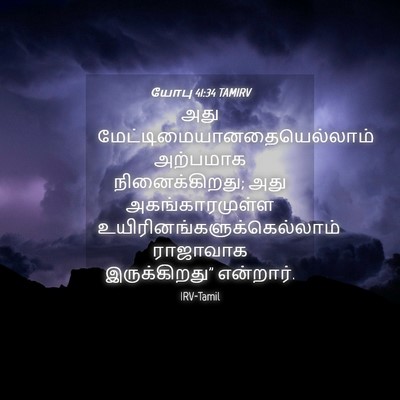 Picture 04 - யோபு 41:34 TAMIRV - அது - Bible Verse Picture