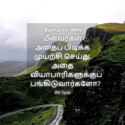Picture 04 - யோபு 41:6 TAMIRV - மீனவர்கள் அதைப் - Bible Verse Picture