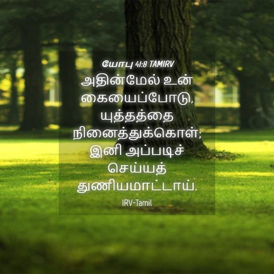 Picture 04 - யோபு 41:8 TAMIRV - அதின்மேல் உன் - Bible Verse Picture