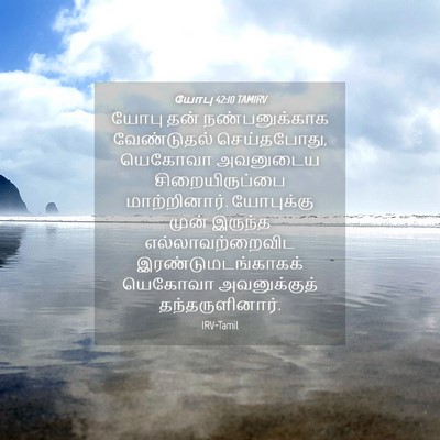 Picture 04 - யோபு 42:10 TAMIRV - யோபு தன் - Bible Verse Picture