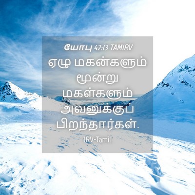 Picture 04 - யோபு 42:13 TAMIRV - ஏழு மகன்களும் - Bible Verse Picture