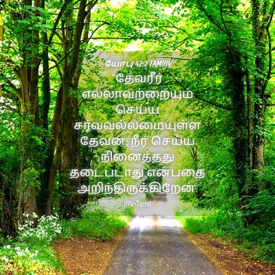 Picture 04 - யோபு 42:2 TAMIRV - “தேவரீர் - Bible Verse Picture