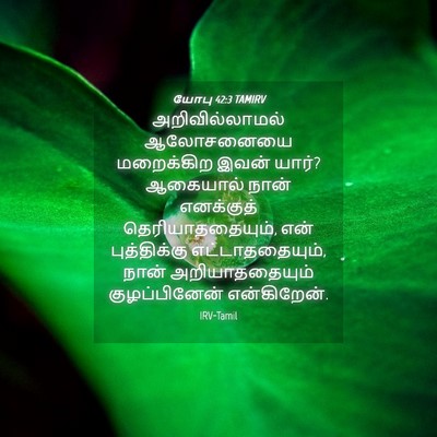 Picture 04 - யோபு 42:3 TAMIRV - அறிவில்லாமல் - Bible Verse Picture