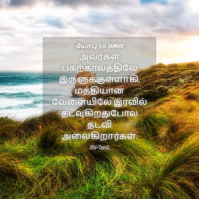 Picture 04 - யோபு 5:14 TAMIRV - அவர்கள் - Bible Verse Picture