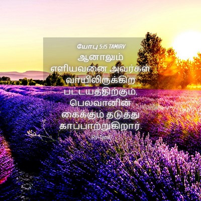Picture 04 - யோபு 5:15 TAMIRV - ஆனாலும் எளியவனை - Bible Verse Picture