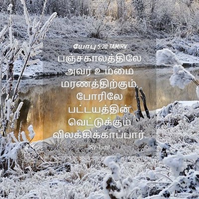 Picture 04 - யோபு 5:20 TAMIRV - பஞ்சகாலத்திலே - Bible Verse Picture