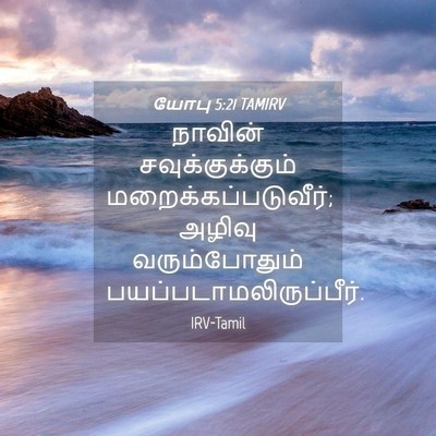 Picture 04 - யோபு 5:21 TAMIRV - நாவின் - Bible Verse Picture