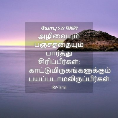 Picture 04 - யோபு 5:22 TAMIRV - அழிவையும் - Bible Verse Picture