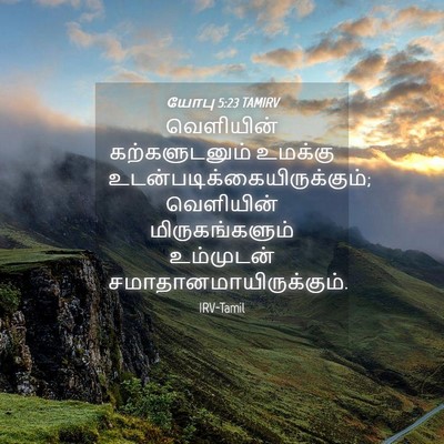 Picture 04 - யோபு 5:23 TAMIRV - வெளியின் - Bible Verse Picture